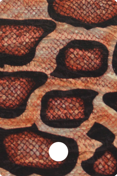 CWAA41-01 front image