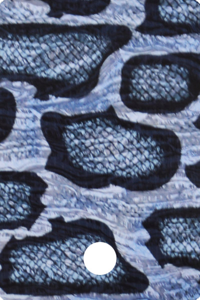 CWAA41-02 front image