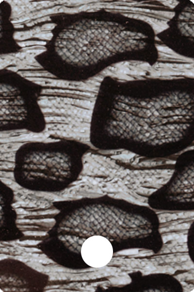 CWAA41-04 front image