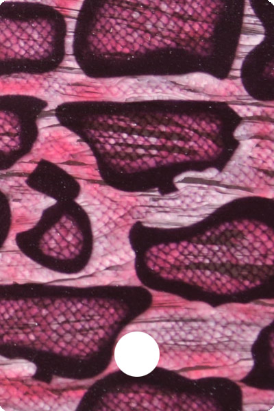 CWAA41-05 front image