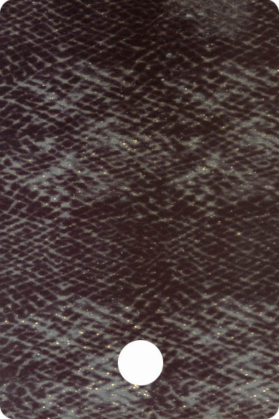 YCF22-01 front image