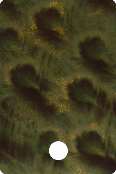 YCF23-03 front image