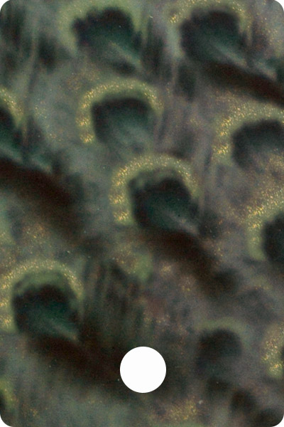 YCF23-04 front image