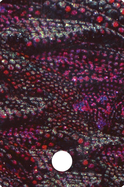 YCF28-04 front image