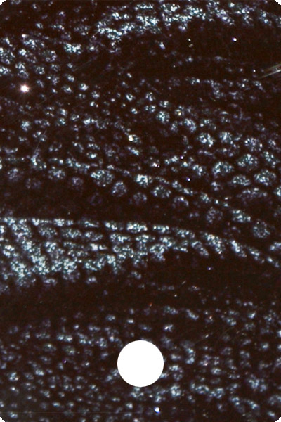 YCF28-05 front image