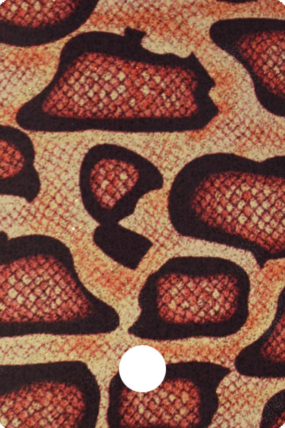 YCF29-01 front image