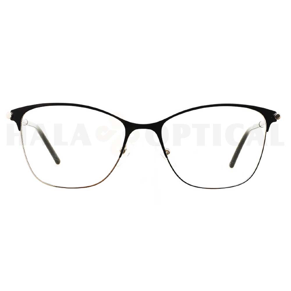 Stainless steel wayfare optical frame