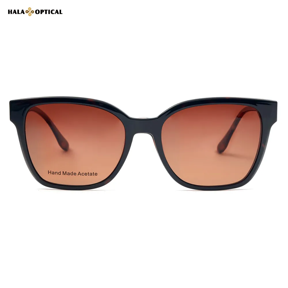 HS8563 Retro Wayfarer Hinged Clip-On Sunglass Frames, Premium Tortoiseshell Acetate, Oversized 