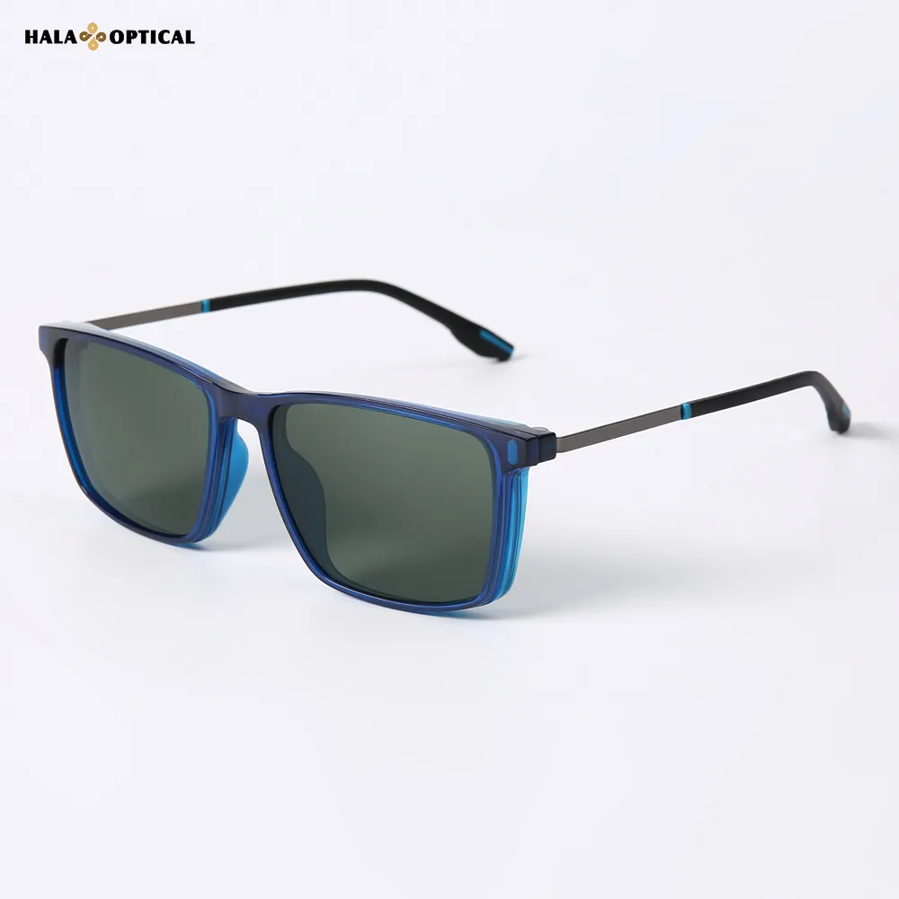 HTZ066 Sunglasses