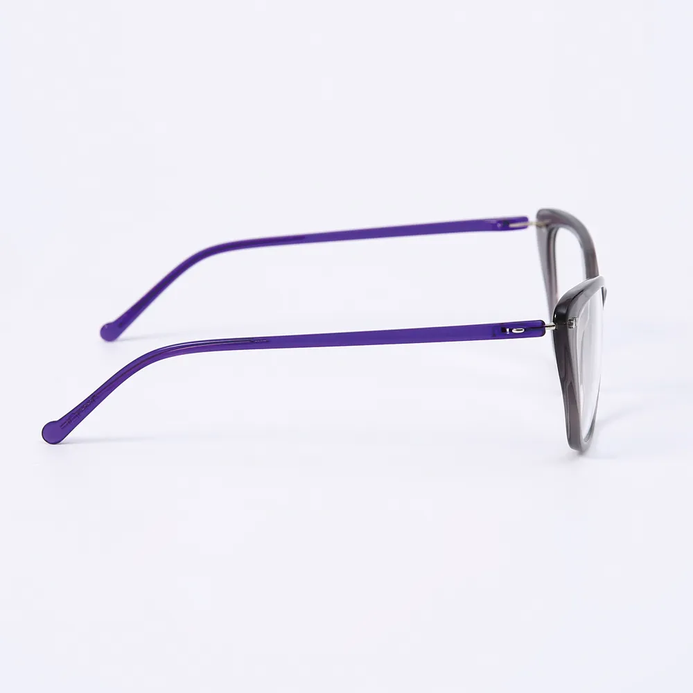 HZ24443-1 Eyeglasses Frame