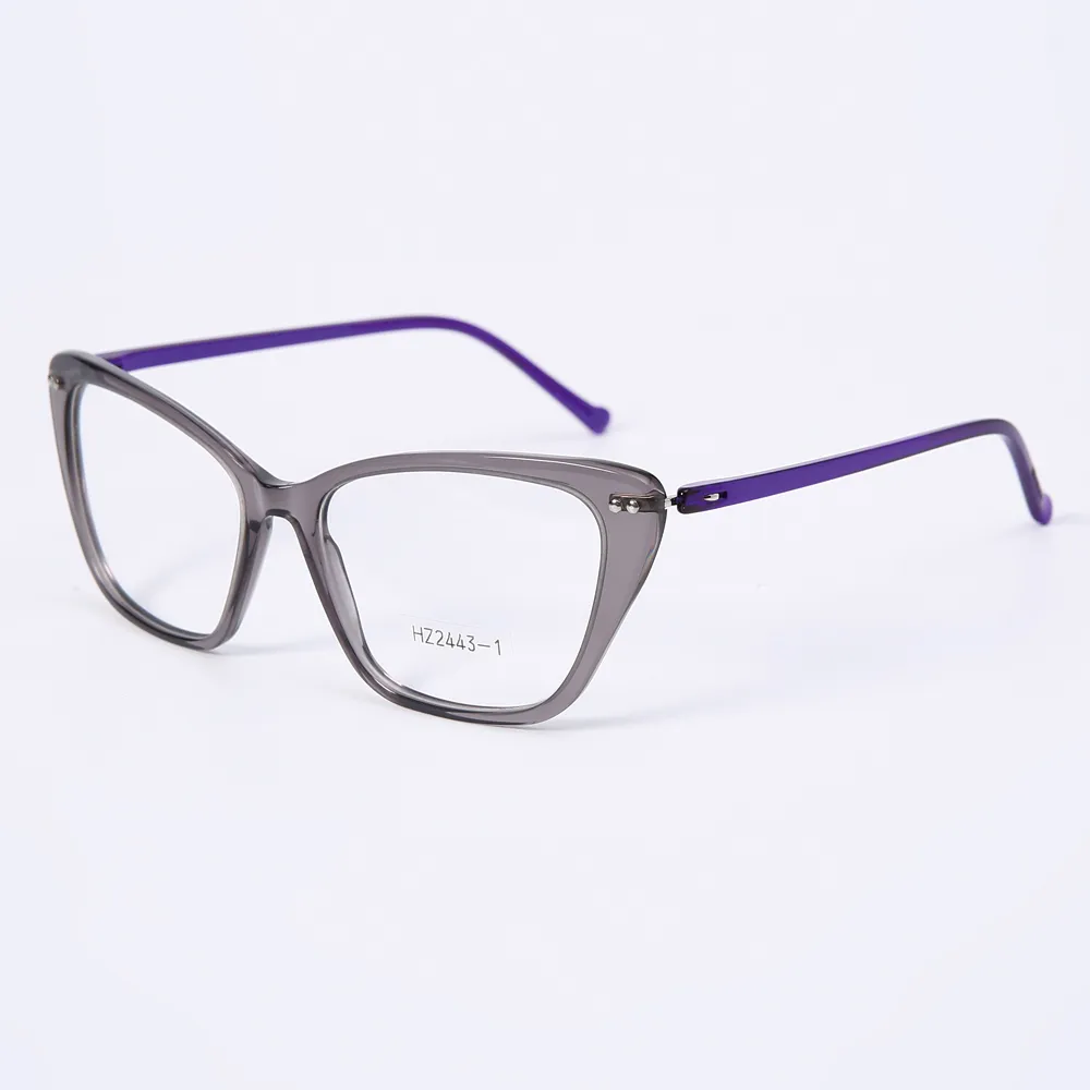 HZ24443-1 Eyeglasses Frame