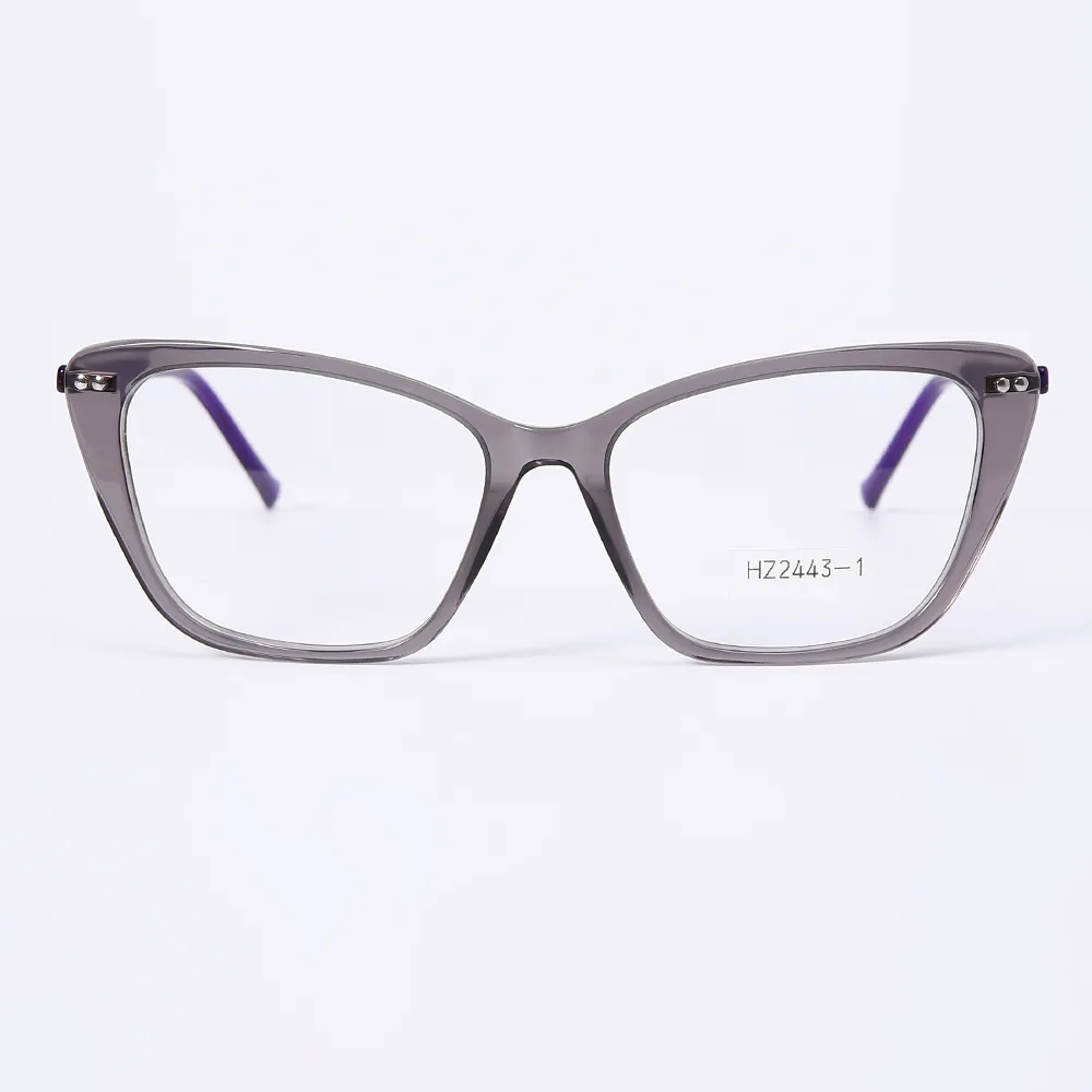 HZ24443-1 Eyeglasses Frame