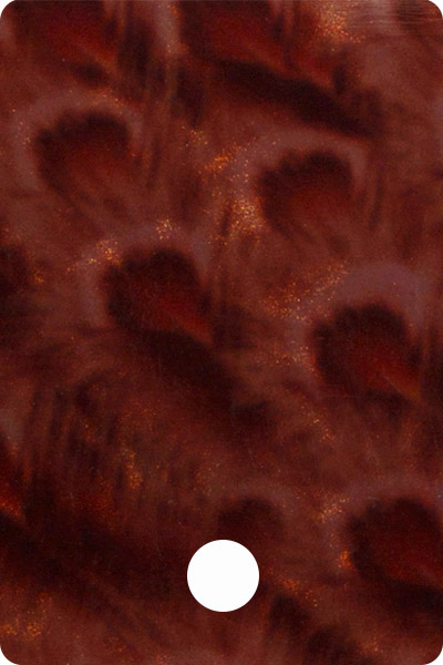 YCF23-05 front image