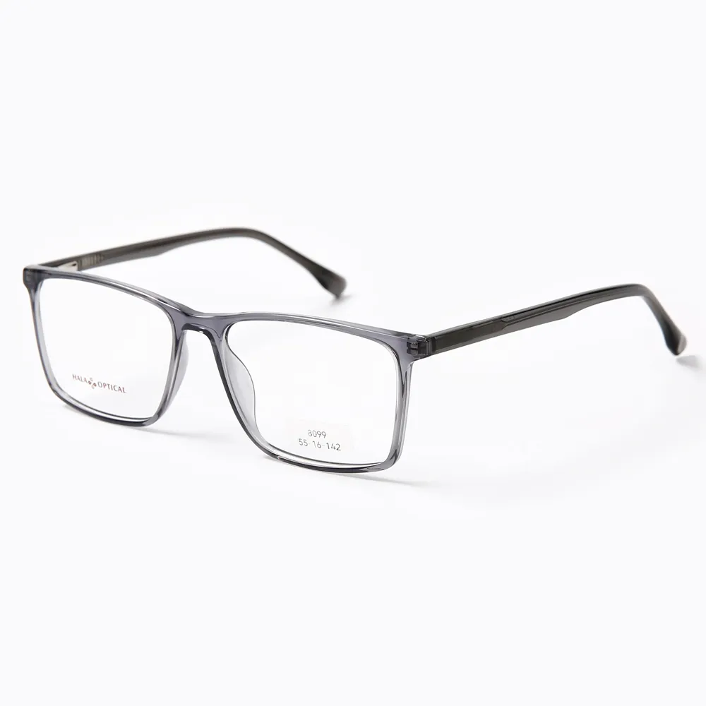 8099 Plastic Spectacle Frame